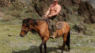 vladimir putin horse