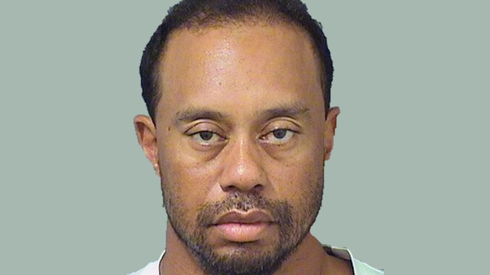 tiger woods golf