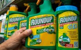 roundup bayer settlement