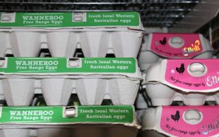 Wanneroo Free Range eggs and free range eggs by Ella
