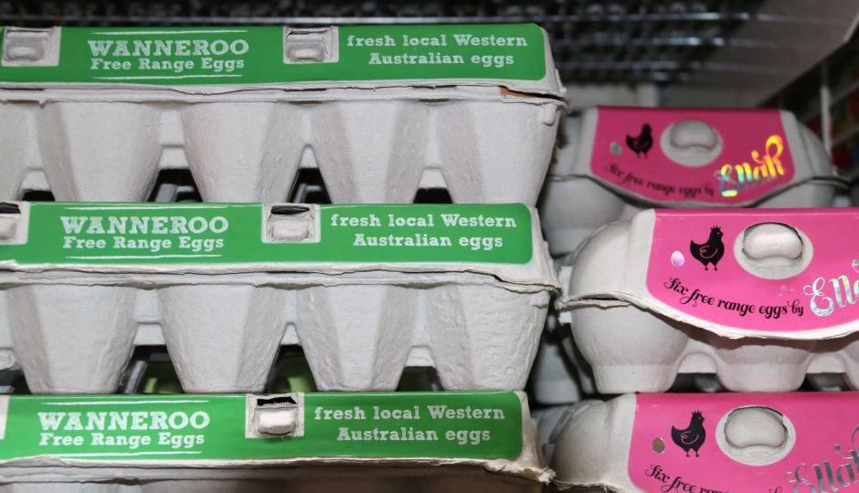 Wanneroo Free Range eggs and free range eggs by Ella