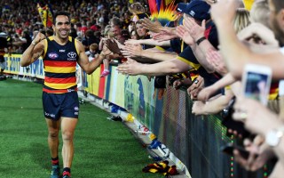 adelaide crows edie betts