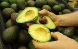 avocado prices