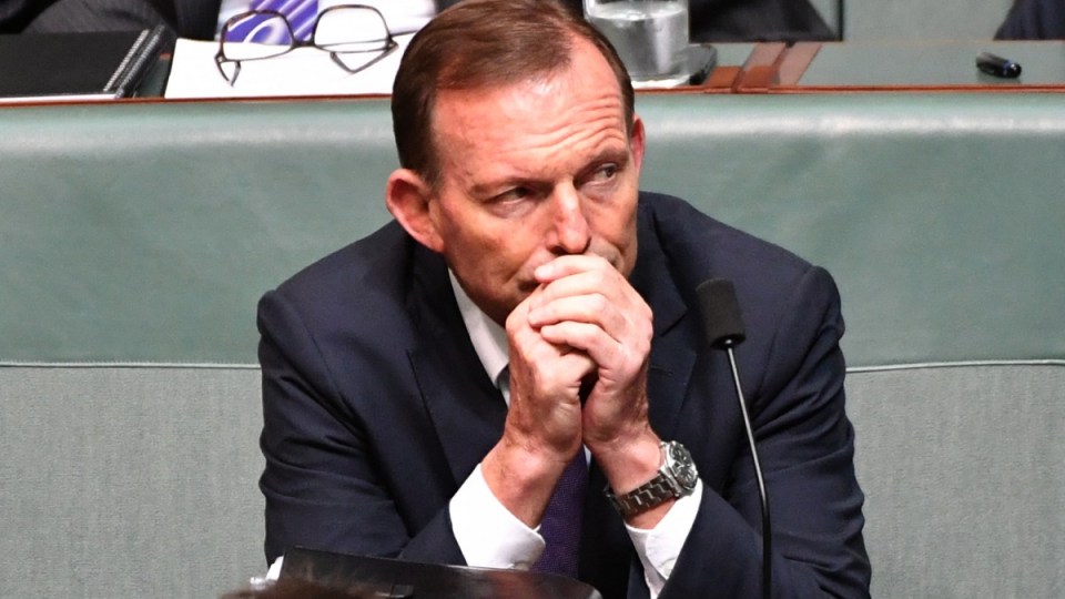 tony-abbott