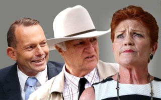 abbott katter pauline