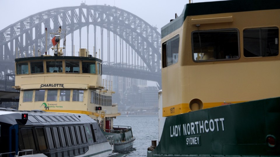 Ferry McFerryface Sydney Harbour
