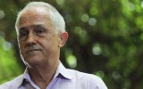 malcolm turnbull