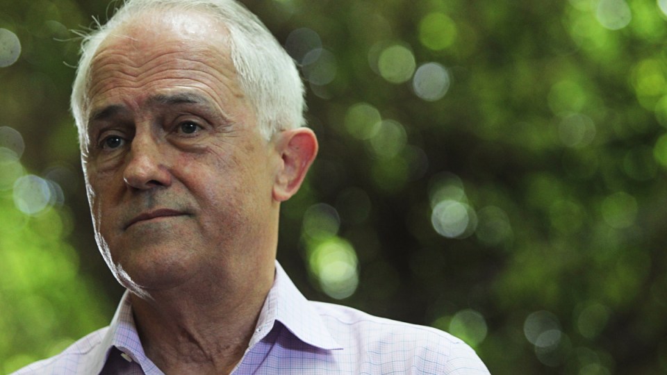 malcolm turnbull