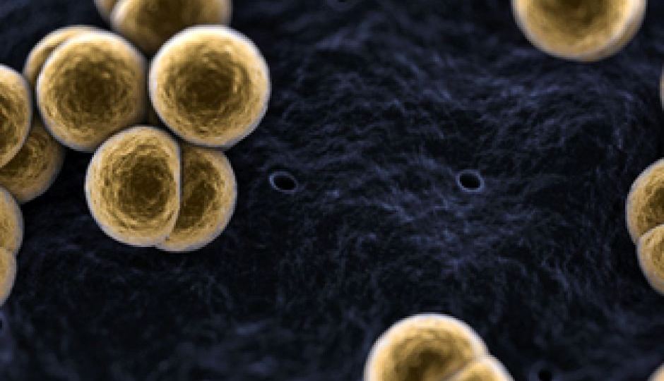 Meningococcal disease