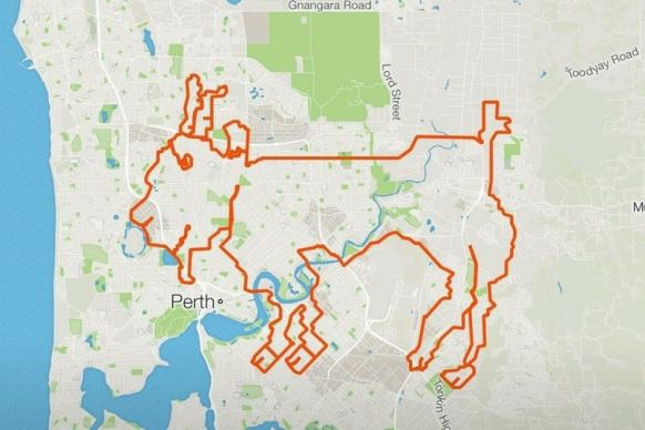 Goat ride - Strava screenshot