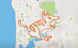 The drawing of a numbat created by Perth cycling group Fight Club on Strava
