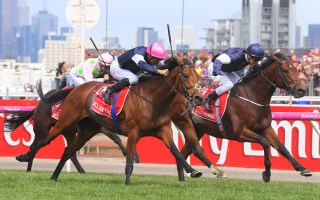 Successful jockeys and apprentices may average between 10 and 20 race rides per week.