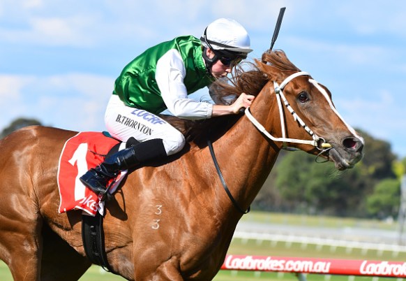 Boris Thornton, apprentice jockey, riding Life On The Wire at the Sandown Hillside in 2017.