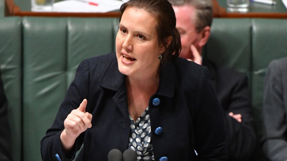 Like most of her predecessors, current financial services minister Kelly O'Dwyer is an ex-banker.