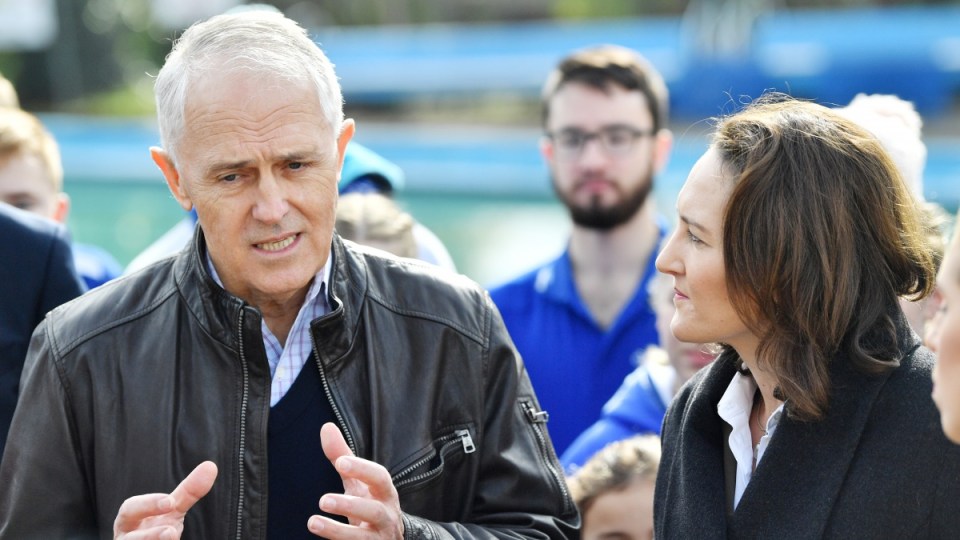 malcolm turnbull mayo georgina downer