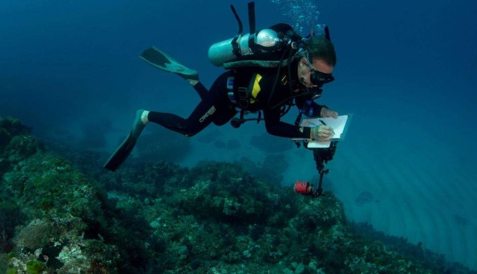 fish stocks australia