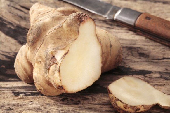 probiotics prebiotics