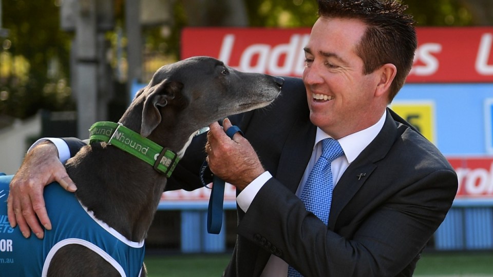 greyhound race nsw taxpayers $500,000
