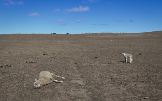 banks drought scheme