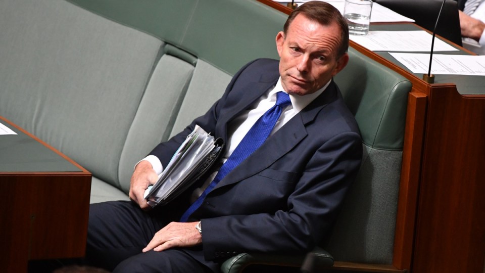 Tony Abbott Malcolm Turnbull Liberal Party