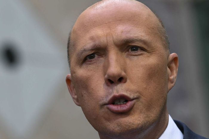 peter dutton illness high court