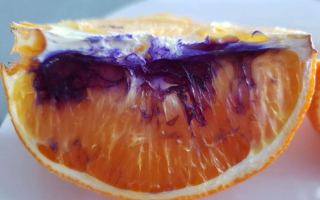 Purple oranges
