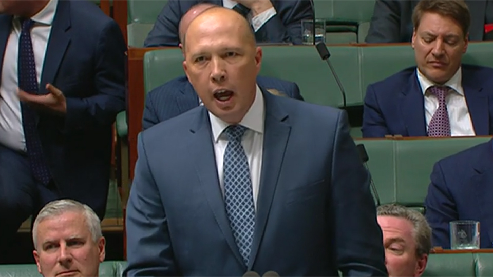 peter dutton
