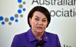 The face of Australia's banks: former Queensland premier Anna Bligh called it a 'day of shame'.