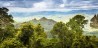 Queensland rainforest, as seen from Mount Warning.