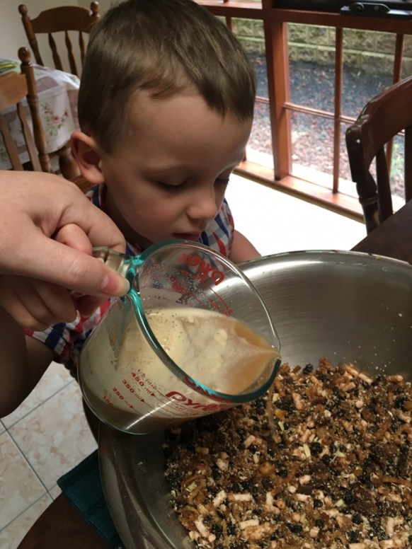 Francis plum pudding