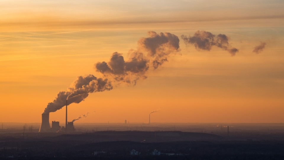 CO2 emissions must go into freefall immediately, the IPCC has warned.