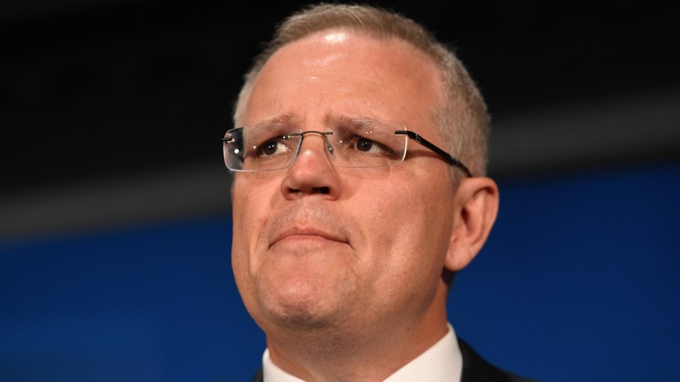 scott morrison tasmanian gender