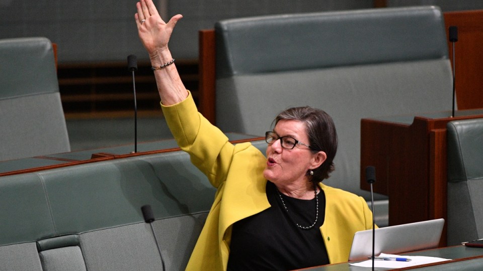 mcgowan indi challenge