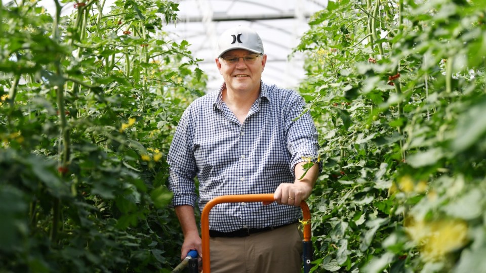 visas changed to help farmers