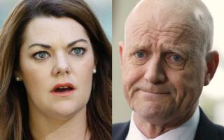 defamation hanson young