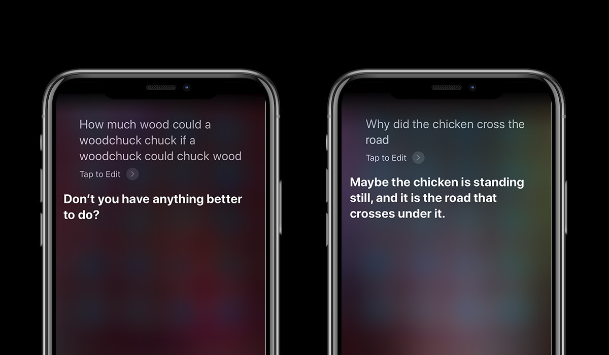 siri on an apple iphone