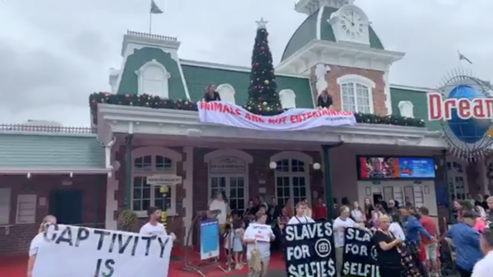 Justice for Captives protest at Dreamworld