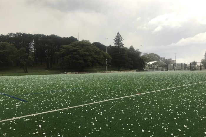 waverley-park-bronte-hailstorm