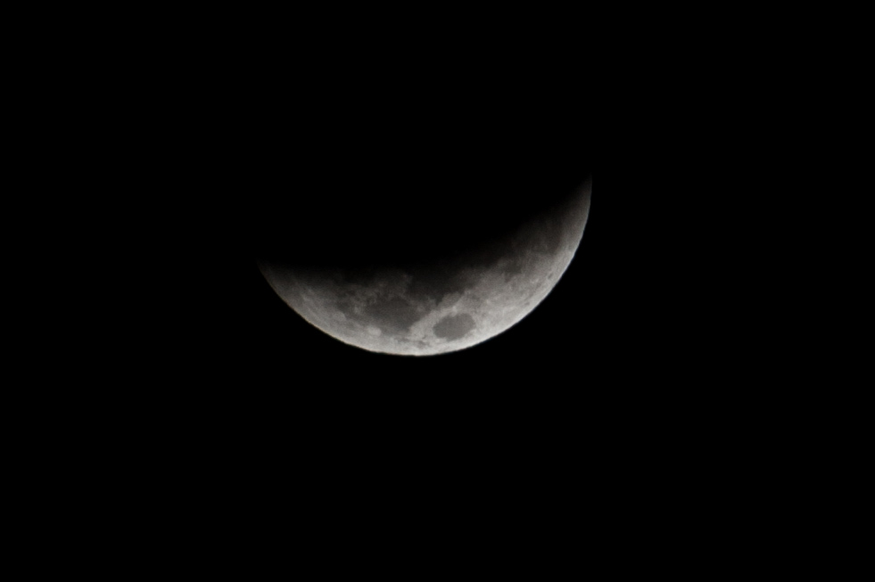 stargazer moon eclipse