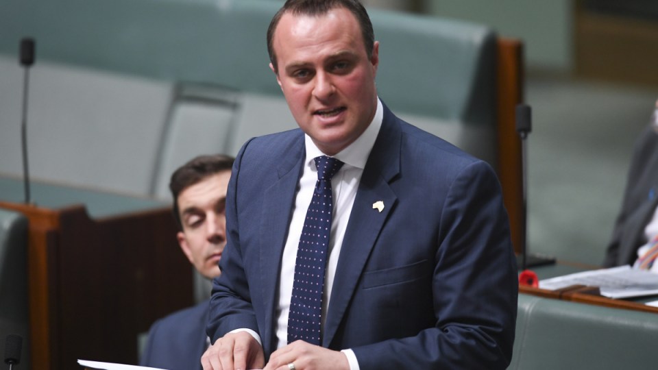 tim wilson franking credits