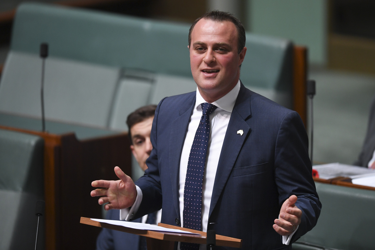 tim wilson in hot water over inquiry