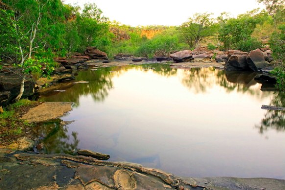 northern territory quarantine virus
