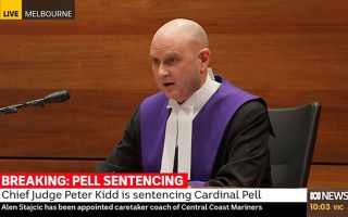 pell sentenced