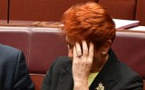 pauline hanson tick bite