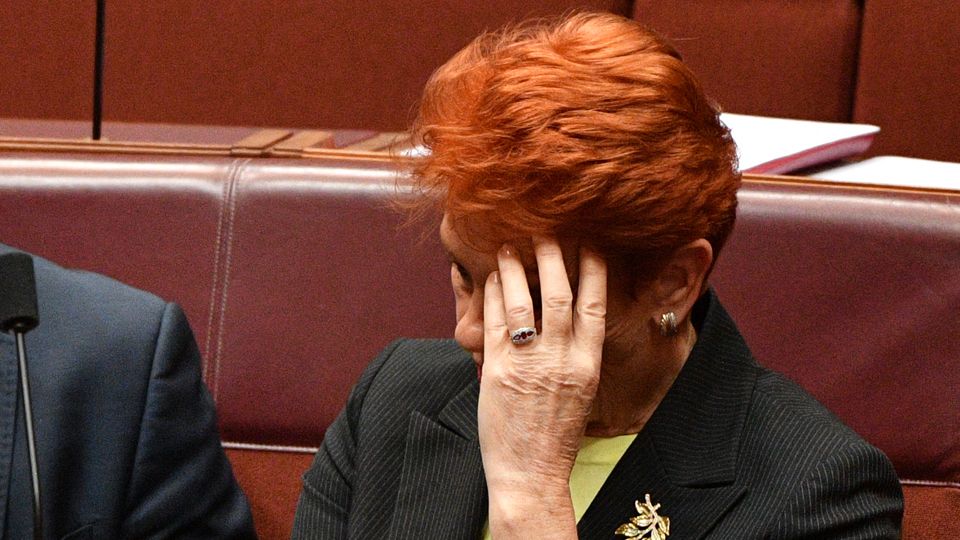 pauline hanson tick bite