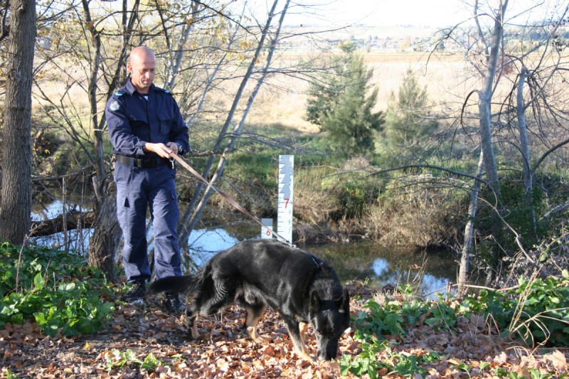 janine-vaughan-murder