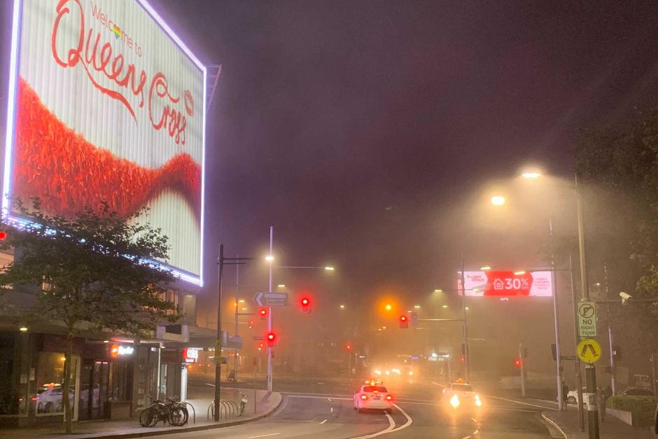 sydney fog