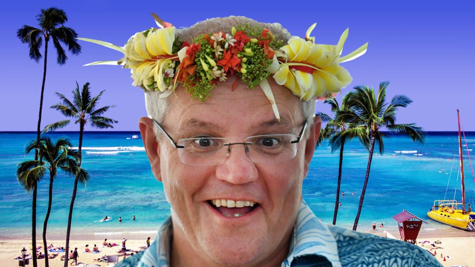 scott morrison hawaii business class