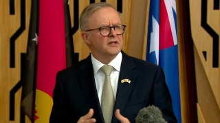 Albanese reconstruction fund