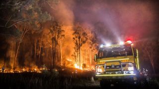 bushfires